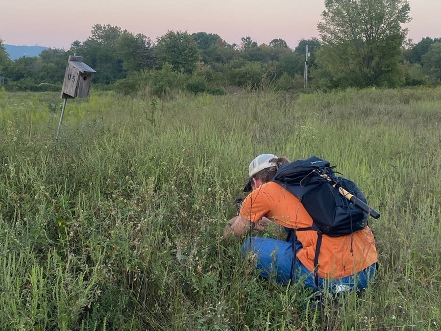 Desert plains beneath a blue sky